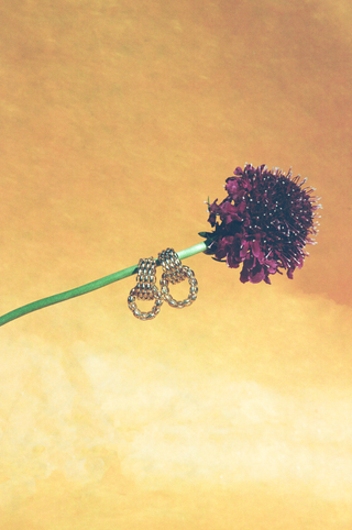 NAiiA Penelope Hoops Still Life