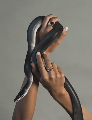 Hands with stacked gold and silver rings with stone accents holding a snake against a gray background