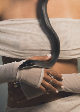 Woman wearing gold and silver rings and ring duo set in a sheer top and skirt holding a black snake with a neutral background